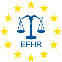 EFHR su džiaugsmu priima kandidatų į Vilniaus miesto merus deklaracijas