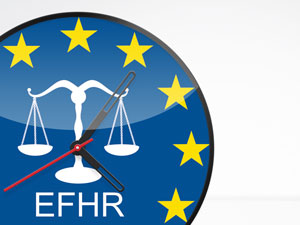 Europos žmogaus teisių fondas (EFHR) ieško Projektų koordinatoriaus (-ės)